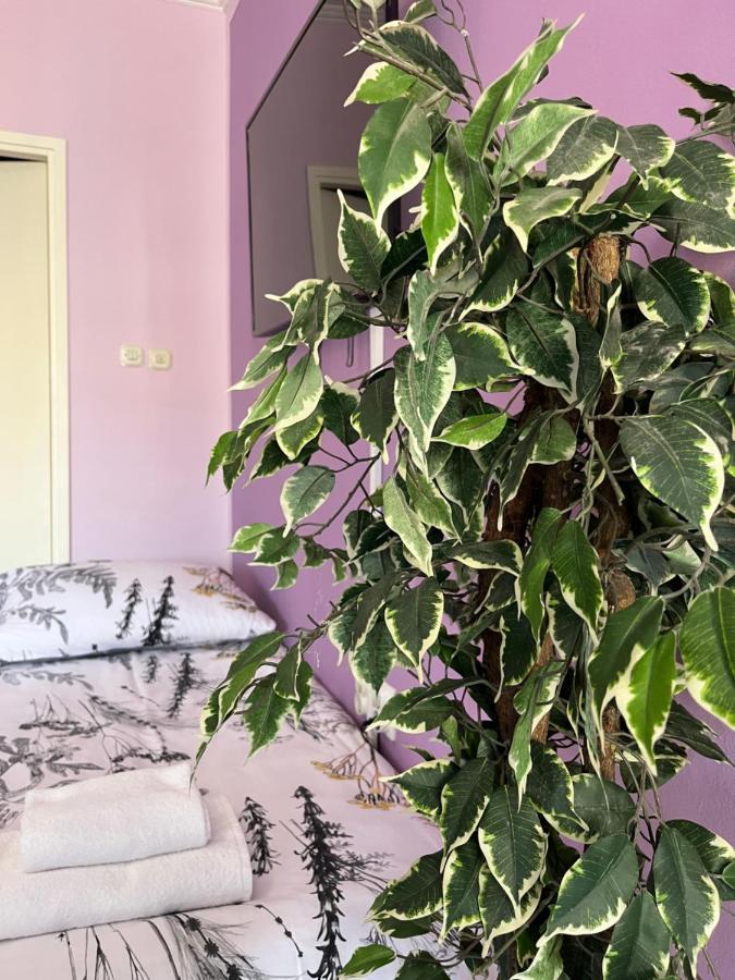 Apartman Lora Rijeka Exterior photo